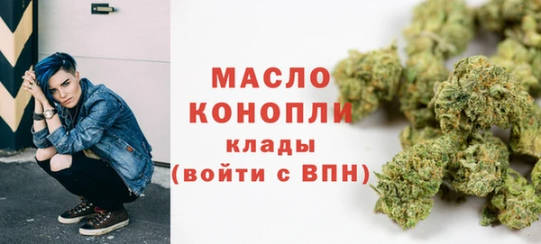 дживик Богородицк