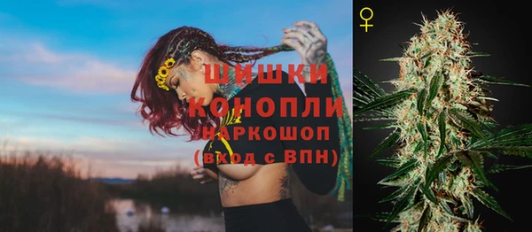 дживик Богородицк