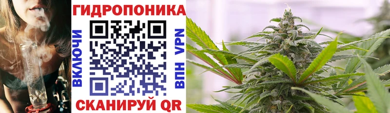 Канабис Amnesia  наркота  Калининец 